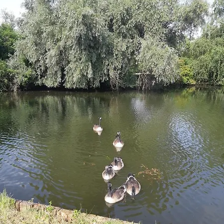 아파트 Feel-good-appartements *